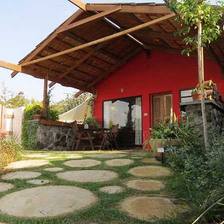 The Green And Red Cabins Ma'ale Gamla Exterior photo
